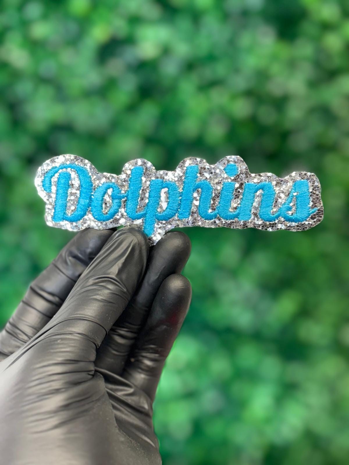 Dolphins Glitter Script Patch